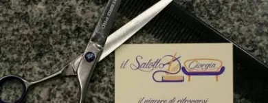 Immagine 3 azienda IL SALOTTO DI GIORGIA Servizi di bellezza in Castel Maggiore BO