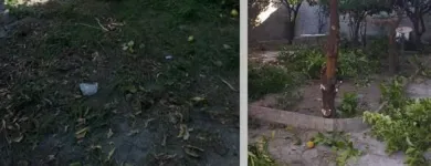 Immagine 4 azienda IMPRESA DI PULIZIE E SERVIZI MANUTENSERVICE NAPOLI Servizi professionali in San Giorgio A Cremano NA
