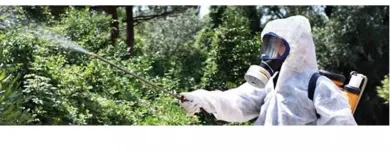 Immagine 2 azienda IMPRESA DI PULIZIE ECO SERVICE Spazzacamini in Ravenna