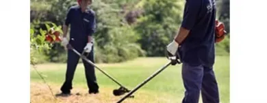 Immagine 6 azienda IMPRESA DI PULIZIE ECO SERVICE Spazzacamini in Ravenna