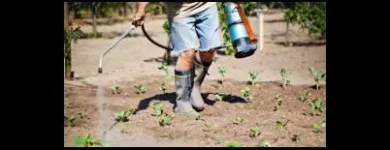 Immagine 1 azienda IMPRESA DI PULIZIE LA LUCENTE EPIFANI Servizi professionali in Cardano Al Campo VA