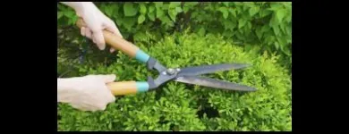 Immagine 4 azienda IMPRESA DI PULIZIE LA LUCENTE EPIFANI Servizi professionali in Cardano Al Campo VA