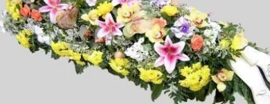 Immagine 4 azienda IMPRESA FUNEBRE MORO Servizi professionali in Bassano Del Grappa VI