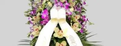 Immagine 8 azienda IMPRESA FUNEBRE MORO Servizi professionali in Bassano Del Grappa VI