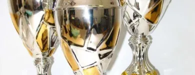 Immagine 5 azienda INCISORIA VICENTINA MIRKO TREU Trofei e distintivi in Vicenza