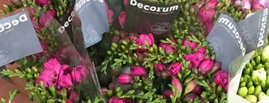 Immagine 2 azienda INGROFLOWERS INGROSSO PIANTE E FIORI DI MICHELE FAGONE Vivaio in Catania