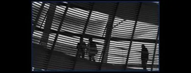 Immagine 4 azienda INVESTIGAZIONI MAX Servizi professionali in Busto Arsizio VA