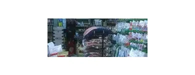 Immagine 7 azienda ITALPETS Servizi professionali in Giugliano In Campania NA