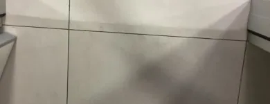 Immagine 1 azienda ITALSERVICE SRL Servizi professionali in San Giorgio Su Legnano MI