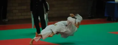 Immagine 15 azienda JUDO MONTICHIARI JUDO RONIN ACADEMY Sport e tempo libero in Montichiari BS