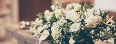 Immagine 3 azienda KETTY GARDEN Vivaio in Bisuschio VA
