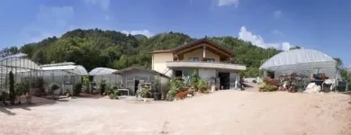 Immagine 4 azienda KETTY GARDEN Vivaio in Bisuschio VA