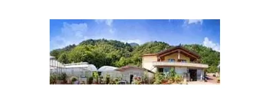 Immagine 5 azienda KETTY GARDEN Vivaio in Bisuschio VA