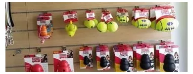 Immagine 2 azienda KING PET Shopping e acquisti in Pescara