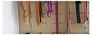 Immagine 4 azienda KING PET Shopping e acquisti in Pescara