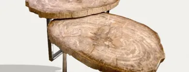 Immagine 6 azienda KIRSCHON EXOTIC ARTEFACTS Shopping e acquisti in Como