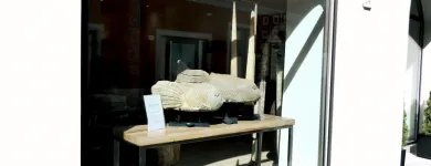 Immagine 9 azienda KIRSCHON EXOTIC ARTEFACTS Shopping e acquisti in Como