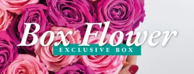 Immagine 2 azienda L'ELEGANZA DEI FIORI Vivaio in Napoli