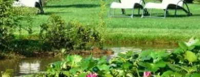 Immagine 8 azienda LA CUCINA DI CREMA Tavola calda in Giavera Del Montello TV