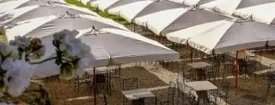 Immagine 2 azienda LA LOCANDA DELLA MANDRIA Ristorante in Venaria Reale TO