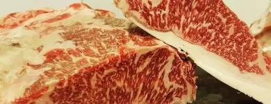 Immagine 1 azienda LA MANGIATOIA Ristorante in Roma