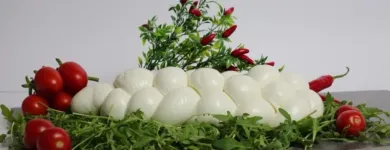 Immagine 6 azienda LA PERLA BIANCA MOZZARELLA DI BUFALA Shopping e acquisti in Ispica