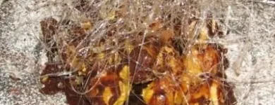 Immagine 6 azienda LA TAVERNA DEL MOLINO Tavola calda in Ravenna