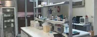 Immagine 2 azienda LABORATORIO DI ANALISI CLINICHE S. ANNA Salute in Frattaminore NA