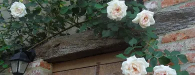 Immagine 2 azienda LOCATION CASCINA MARIE Viaggi e turismo in Bricherasio TO