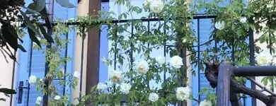 Immagine 6 azienda LOCATION CASCINA MARIE Viaggi e turismo in Bricherasio TO