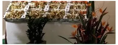 Immagine 4 azienda LU.SI. GROUP Shopping e acquisti in San Ferdinando Di Puglia BT