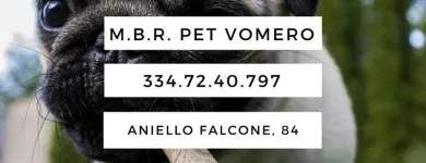 Immagine 1 azienda M.B.R. PET VOMERO Industrie e agricoltura in Napoli