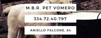 Immagine 7 azienda M.B.R. PET VOMERO Industrie e agricoltura in Napoli
