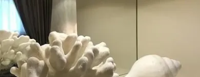 Immagine 4 azienda M INTERIORS HOMES Realizzazione di coperture e tetti in Lonato Del Garda BS