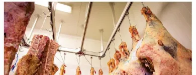 Immagine 1 azienda MACELLERIA AL MATTATOIO Macelleria in Roma