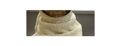 Immagine 1 azienda MARAMIAO PET SHOP Servizi professionali in Bagno A Ripoli FI