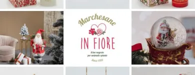 Immagine 1 azienda MARCHESANE IN FIORE Shopping e acquisti in Bassano Del Grappa VI