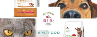 Immagine 2 azienda MARCHESANE IN FIORE Shopping e acquisti in Bassano Del Grappa VI