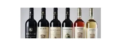 Immagine 5 azienda MGS FORNITURE PER HOTEL E RISTORANTI Shopping e acquisti in Torino