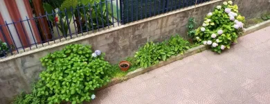 Immagine 6 azienda MICHELANGELO APARTMENT Viaggi e turismo in Civitavecchia RM