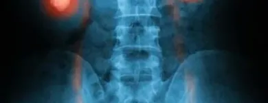 Immagine 1 azienda MINALDI PROF. GIANCARLO Urologo in Catania