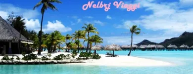 Immagine 5 azienda NELBRJ VIAGGI Viaggi e turismo in Napoli