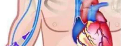 Immagine 5 azienda NG FORMAZIONE Servizio di assistenza domiciliare in Roma