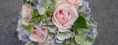 Immagine 2 azienda NIKY FLOR Shopping e acquisti in Varese