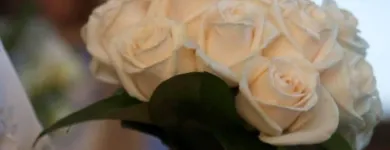 Immagine 6 azienda NIKY FLOR Shopping e acquisti in Varese