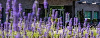 Immagine 6 azienda NOVOTEL MILANO MALPENSA AIRPORT Viaggi e turismo in Cardano Al Campo VA