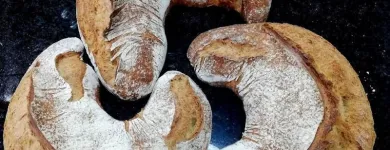 Immagine 2 azienda OFFICINA DEL GRANO Shopping e acquisti in Parma