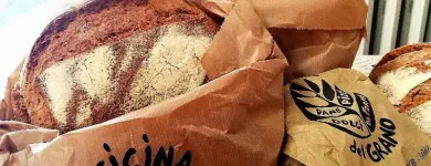 Immagine 5 azienda OFFICINA DEL GRANO Shopping e acquisti in Parma