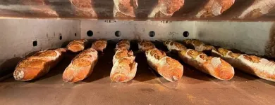 Immagine 6 azienda OFFICINA DEL GRANO Shopping e acquisti in Parma