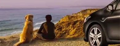 Immagine 7 azienda OLIVIERO S.R.L TOYOTA Veicoli in Torri Di Quartesolo VI